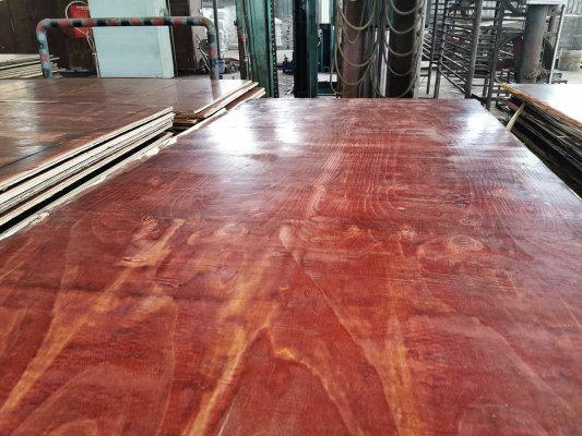 用桉木做建筑模板好嗎？桉木模板價格多少？