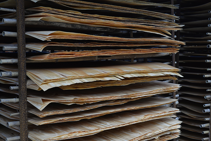 單板質量影響桉木建筑模板生產