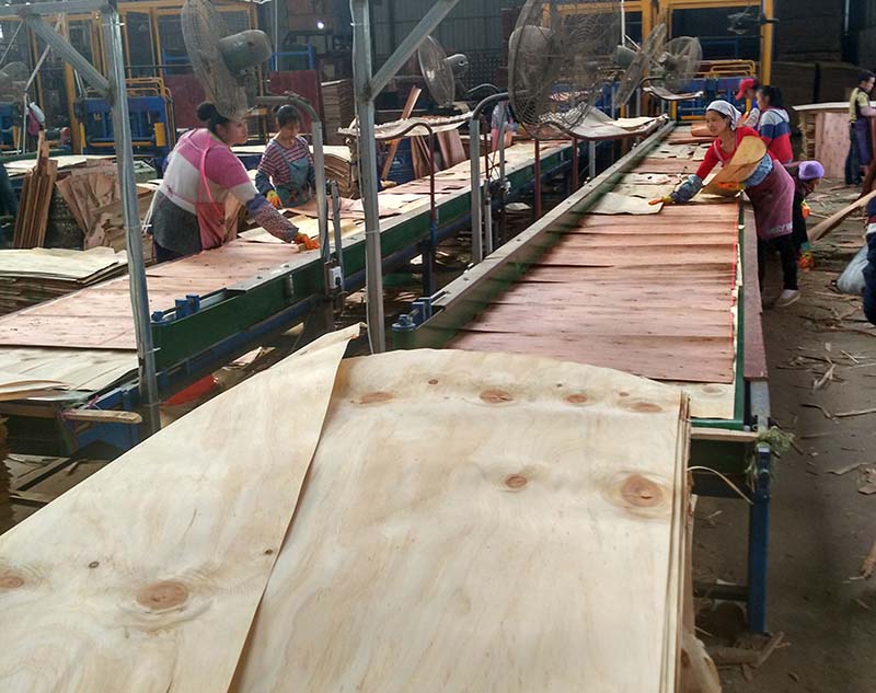 建筑模板生產流水線